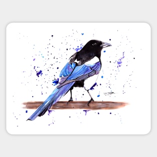 Magpie Sticker